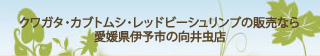 クワガタ・カブトムシ・レッドビーシュリンプの販売なら愛媛県伊予市の向井虫店