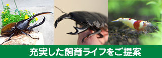 充実した飼育ライフをご提案