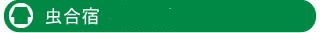 虫合宿予約受付